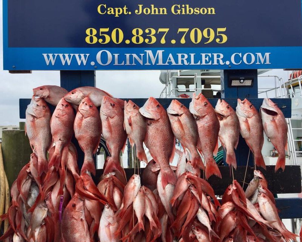 Fort Walton Beach Fishing Private Charters Are Kid Friendly