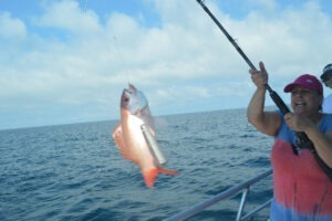 fish caught on fishing charter